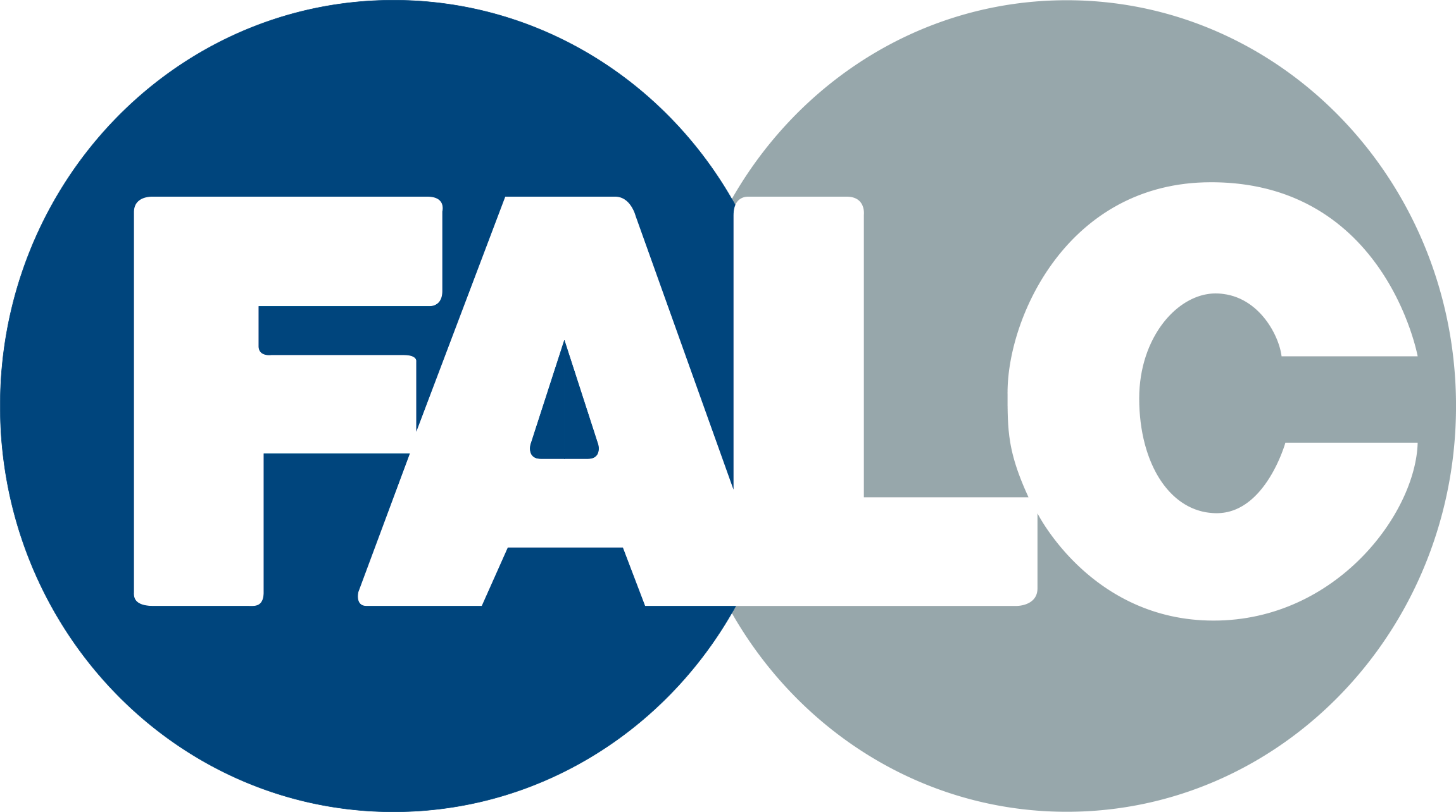 11_FALC INSTRUMENTS S.R.L.